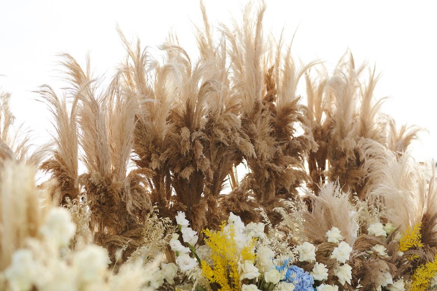 Modern Ukrainian field: decoration of the ether "Breakfast with 1+1" to the Independence Day of Ukraine