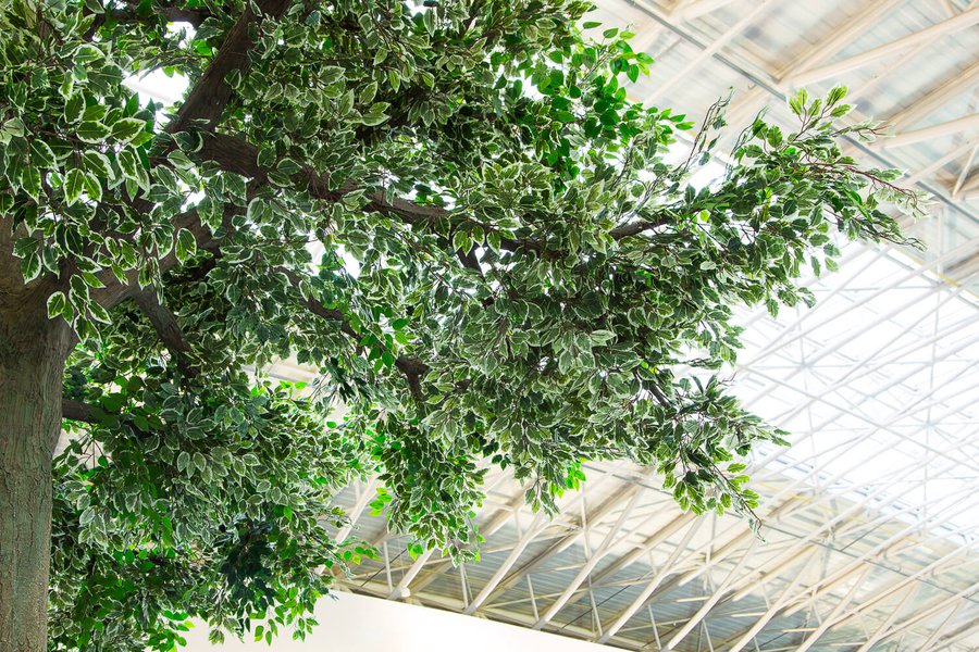 Landscaping at "Boryspil" airport