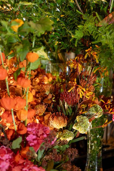 Kiss of Autumn: a palette of luxury for Edem Kyiv