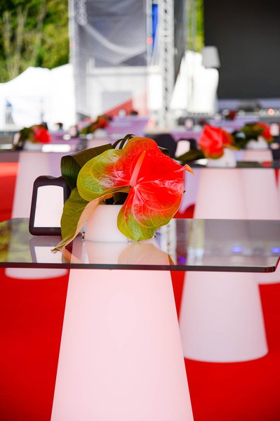 AVIS car event