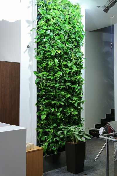 Plant Walls
