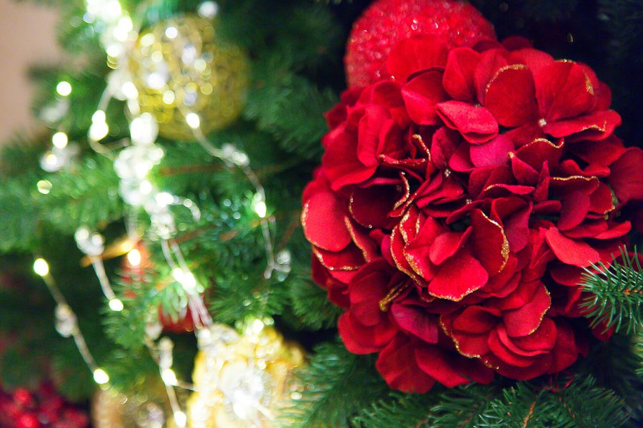 Red and Gold Decoration