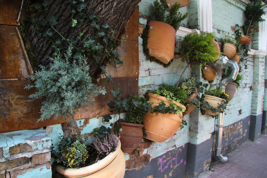 Creative Space & Experiment Cafe 12 terrace