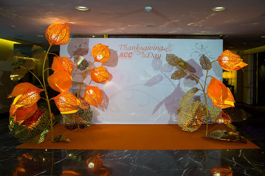ACC Conference 2018