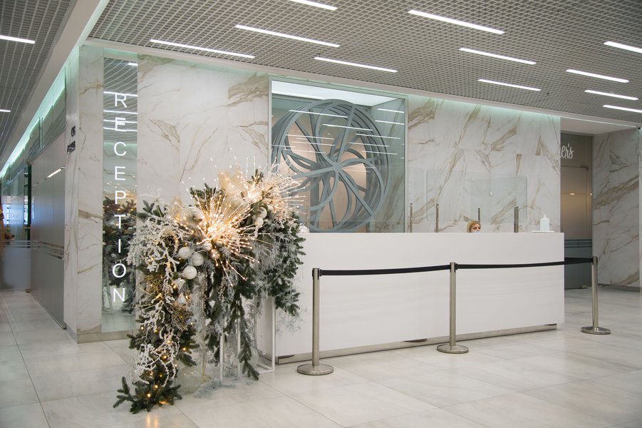New Year's fusion for business center "Leonardo"