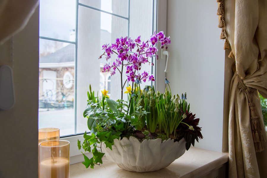 Collection of vases Botanical Touch