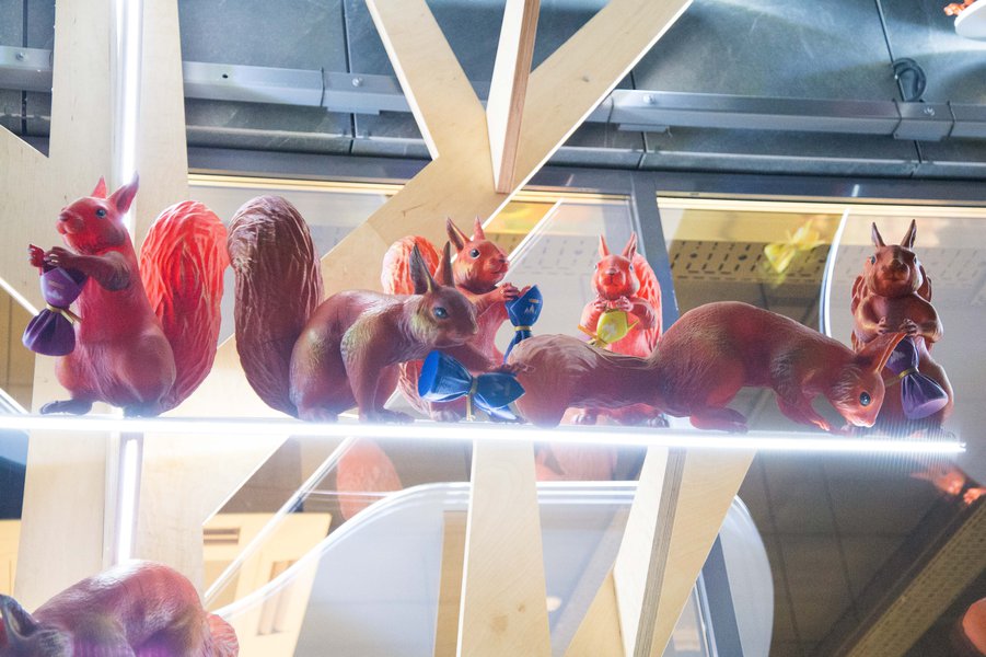 Squirrels love candy: a new display format for the Roshen chain of stores