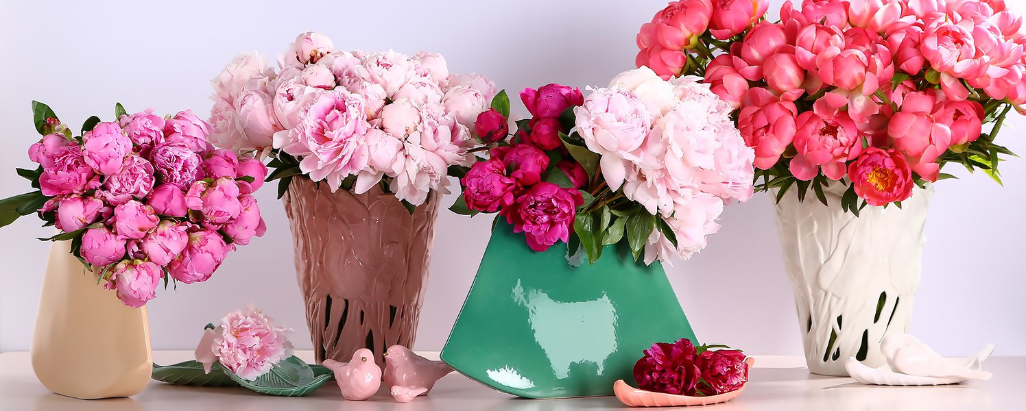 Collection of Japanese Signature vases