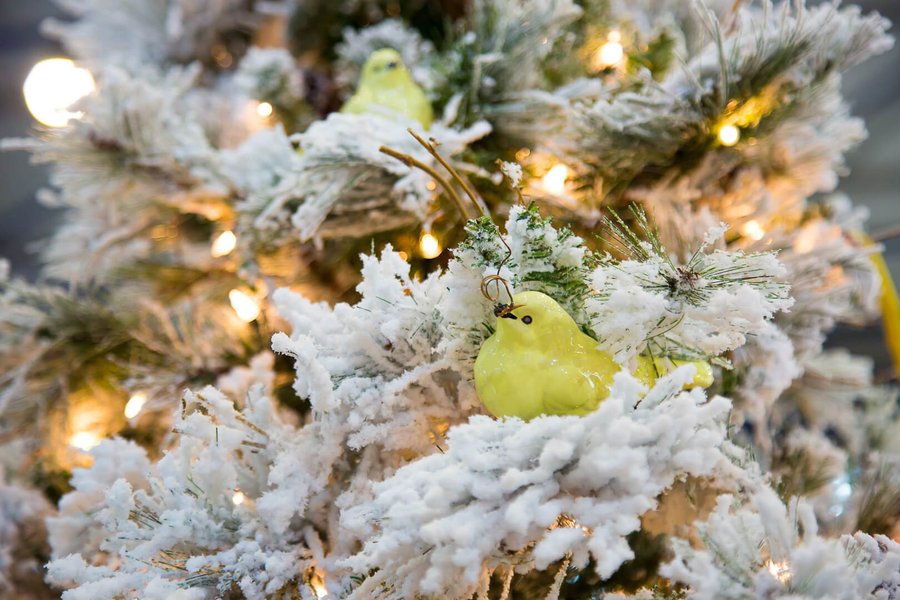 Виставка Christmas Trade Show 2017