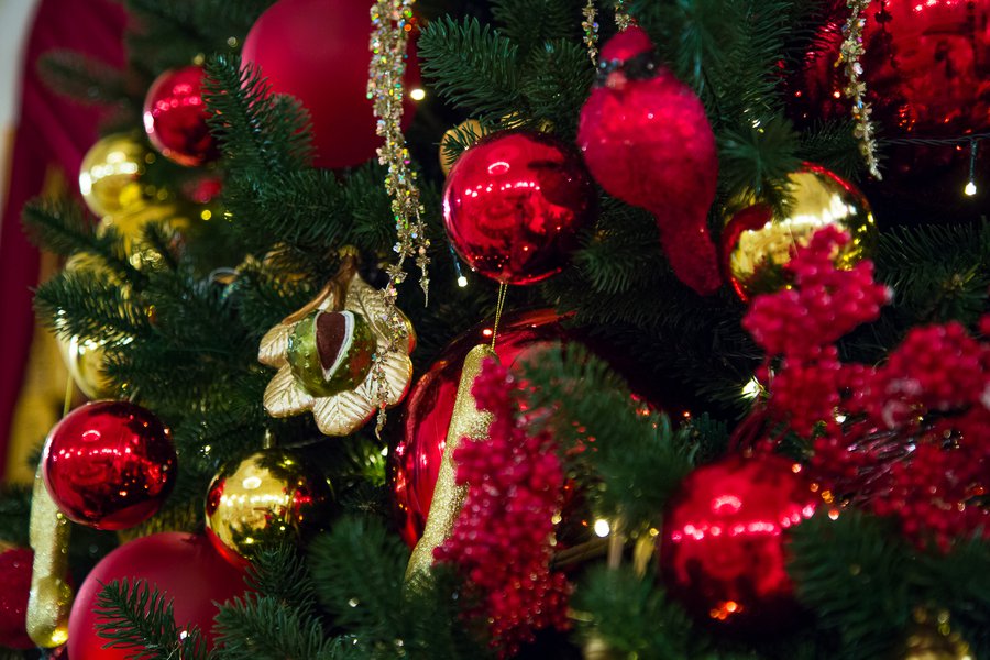 Christmas tree in the Mariinsky Palace