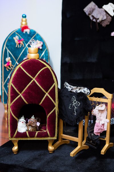 Колекція Fashion dogs