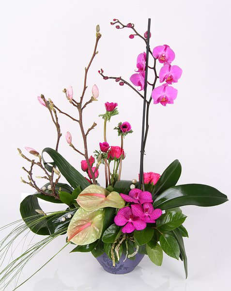 Collection of interior bouquets