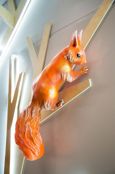 Squirrels love candy: a new display format for the Roshen chain of stores