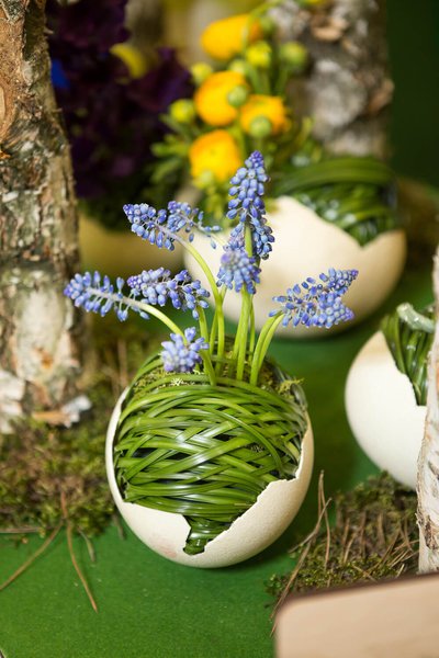 Колекція Flowers & HorTech Ukraine 2015