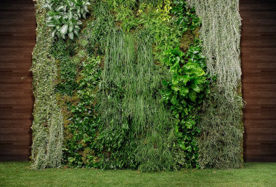 Plant Walls