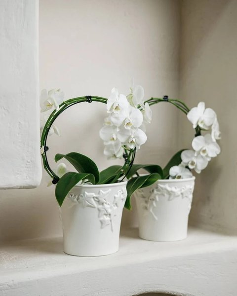 Collection of Nordic Ivy ceramics