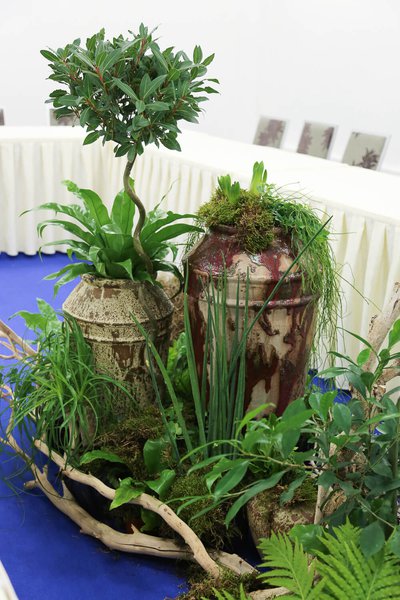 MTI conference design