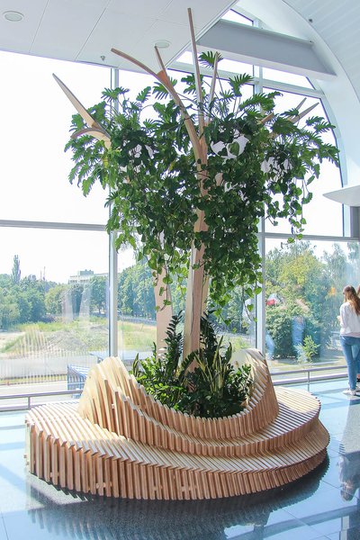 Landscaping at Boryspil airport