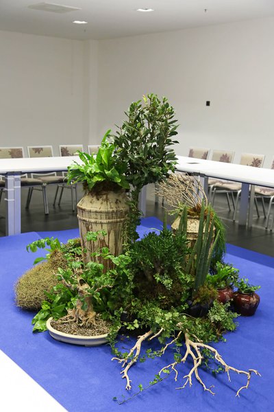 MTI conference design