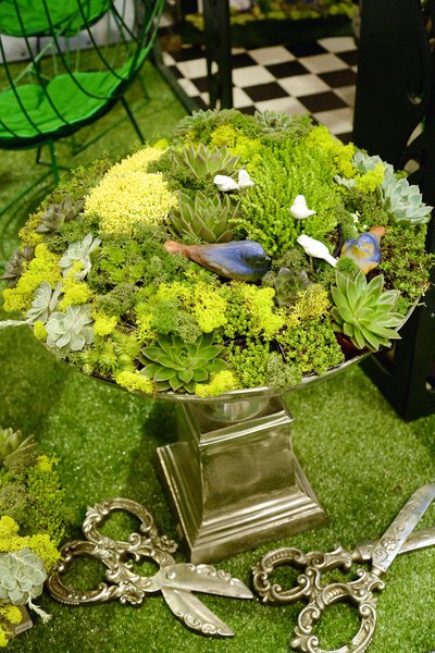 Виставка Flower Expo Ukraine 2016