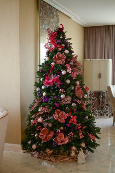 New Year's fantasy in fuchsia