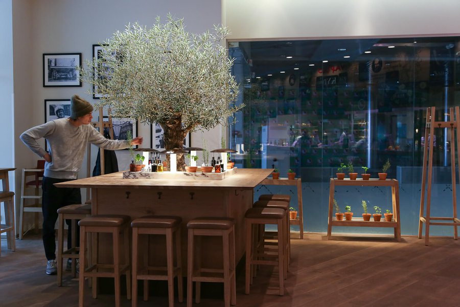 Озеленение ресторана VAPIANO