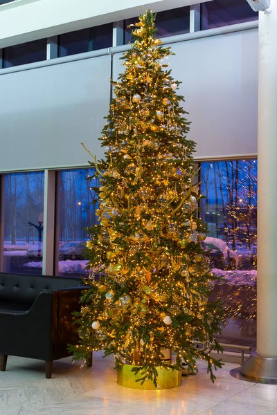 Boryspil Airport Business Terminal New Year Decoration