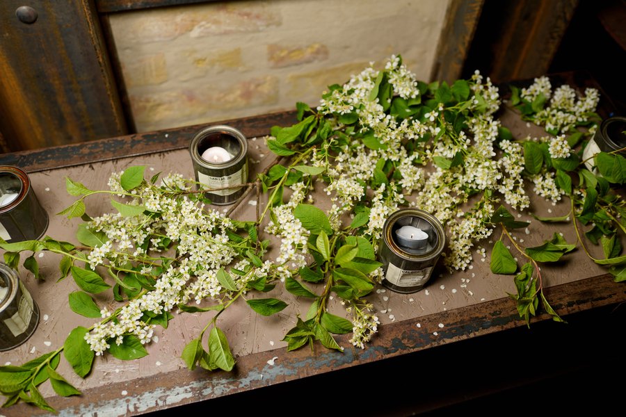 Presentation of the new collection Lake Studio THE SEEDS