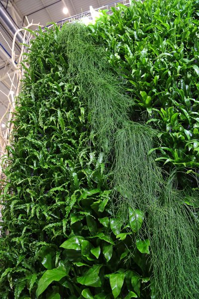 Plant Walls