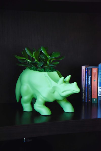 ANIMAL LAND ceramics collection from LoraShen