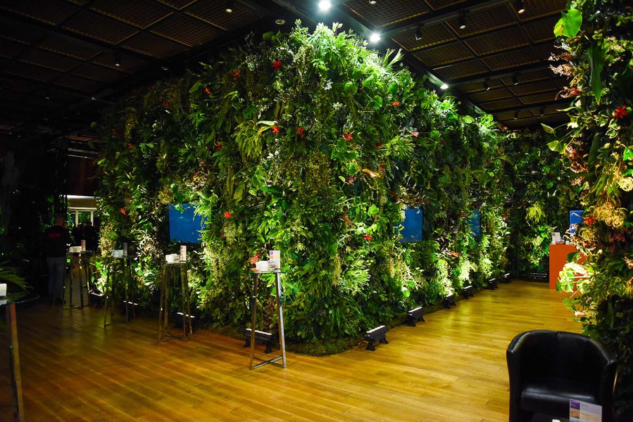 Landscaping for IQOS Event