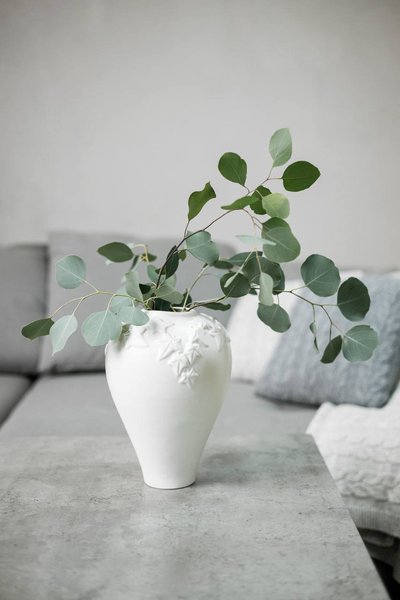 Collection of Nordic Ivy ceramics