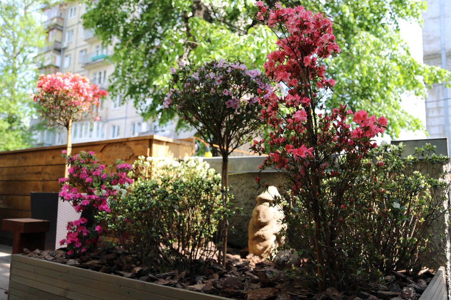 Creative Space & Experiment Cafe 12 terrace