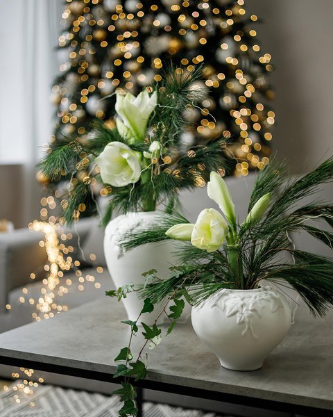 Collection of Nordic Ivy ceramics