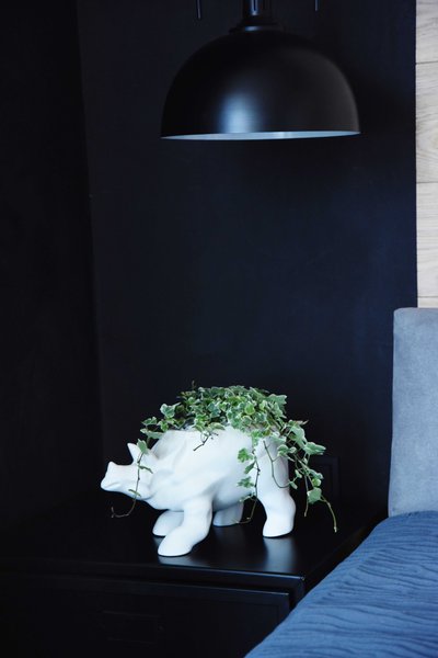 ANIMAL LAND ceramics collection from LoraShen