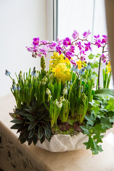 Spring flower decoration at home