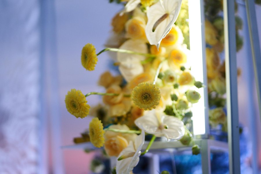 Modern Ukrainian soul: decoration of the "Breakfast with 1 + 1" broadcast for the Independence Day