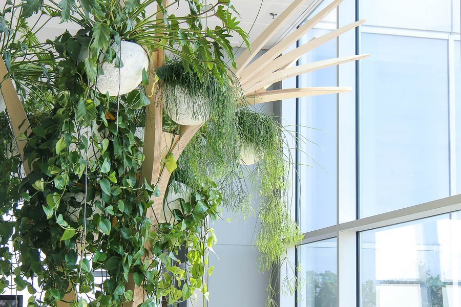 Landscaping at Boryspil airport