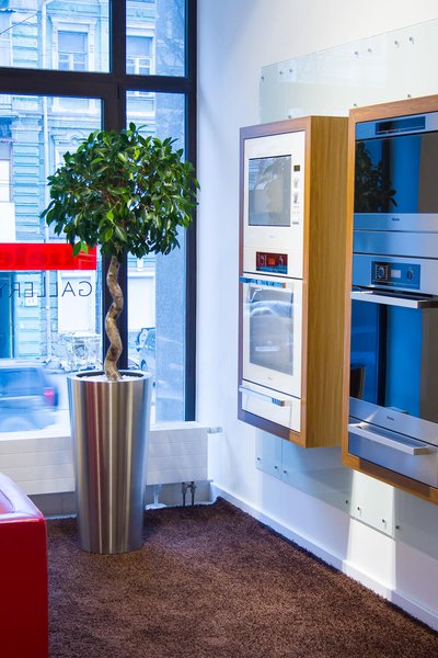 Озеленення офісу Miele