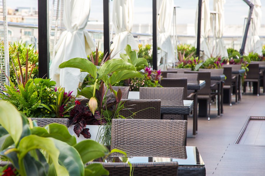 Тераса у стилі Nice & Sexy для готелю Hyatt Regency Kyiv