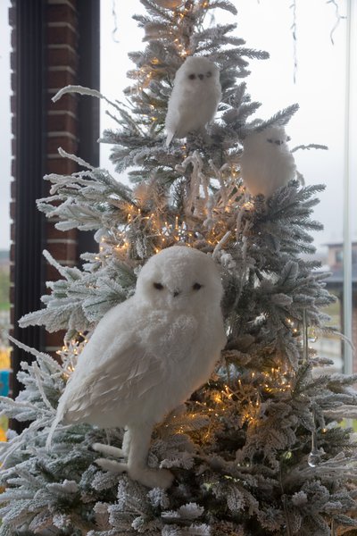 A Christmas story in a classic style