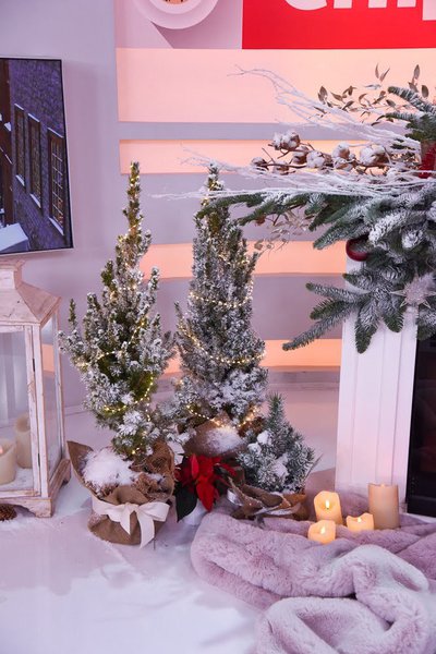 Christmas decoration of the "Snidanok z 1+1"
