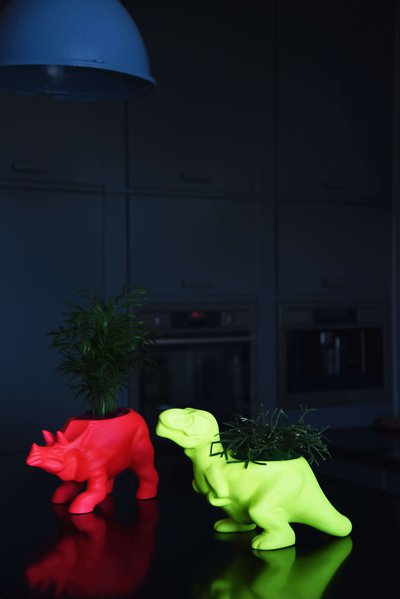 ANIMAL LAND ceramics collection from LoraShen