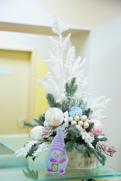 ISIDA Clinic New Year Decoration 2017