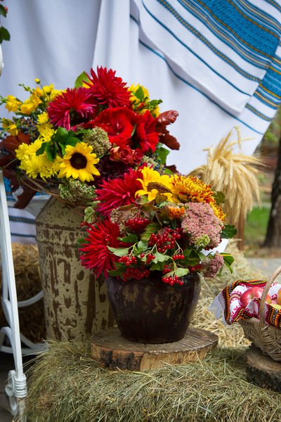 Весілля в українському стилі "До джерел"