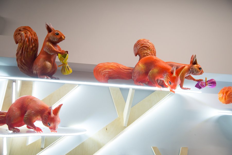 Squirrels love candy: a new display format for the Roshen chain of stores