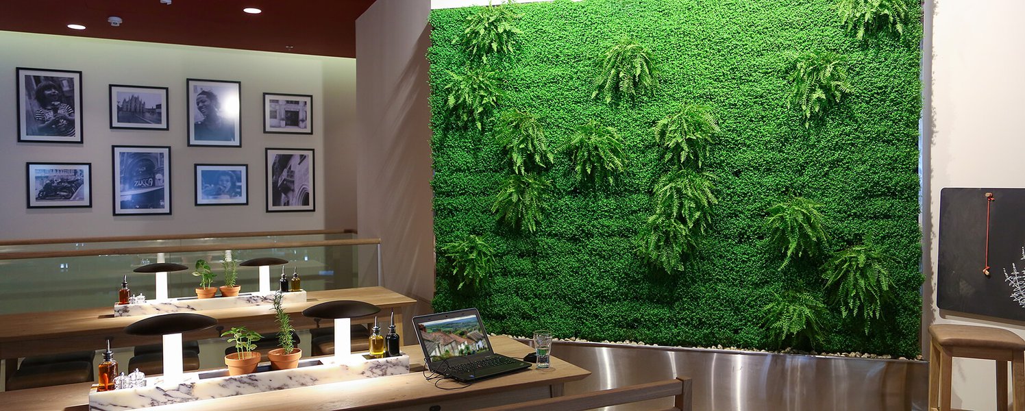 Озеленение ресторана VAPIANO