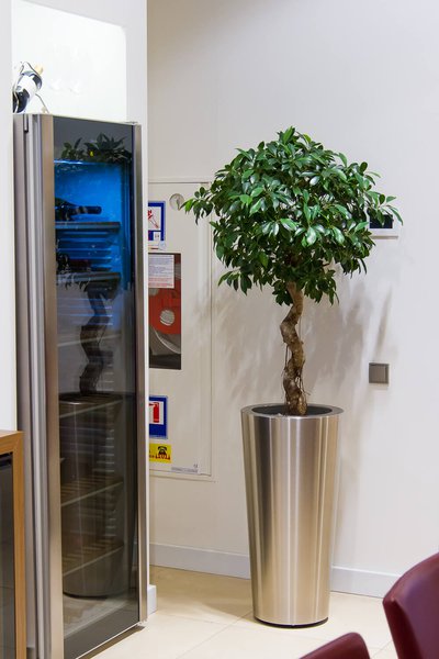 Озеленення офісу Miele