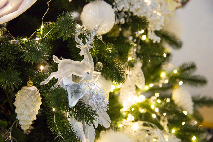 Snow-white fairy tale in private decoration