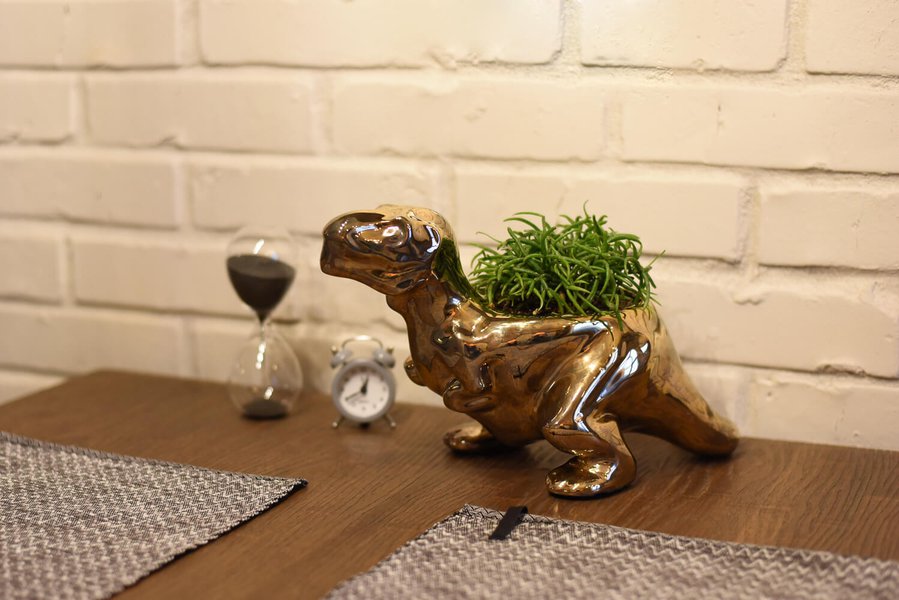 Animal Land Glossy Collection